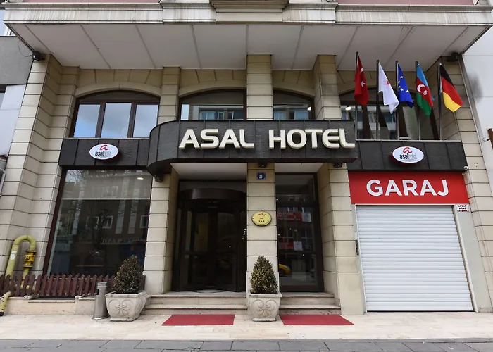 阿萨尔酒店 酒店 安卡拉